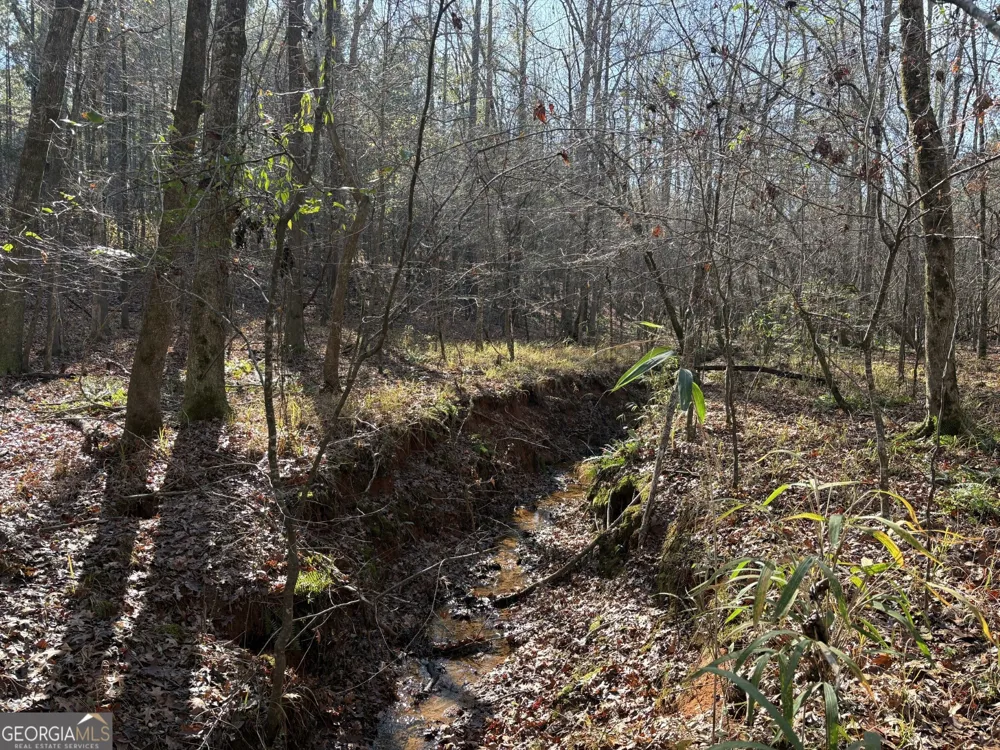 T1 Old Zebulon RD Forsyth, GA 31029