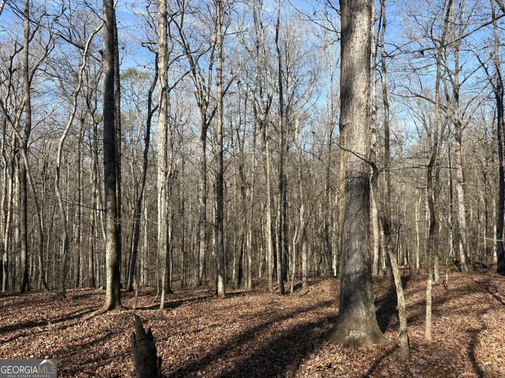 T1 Old Zebulon RD Forsyth, GA 31029