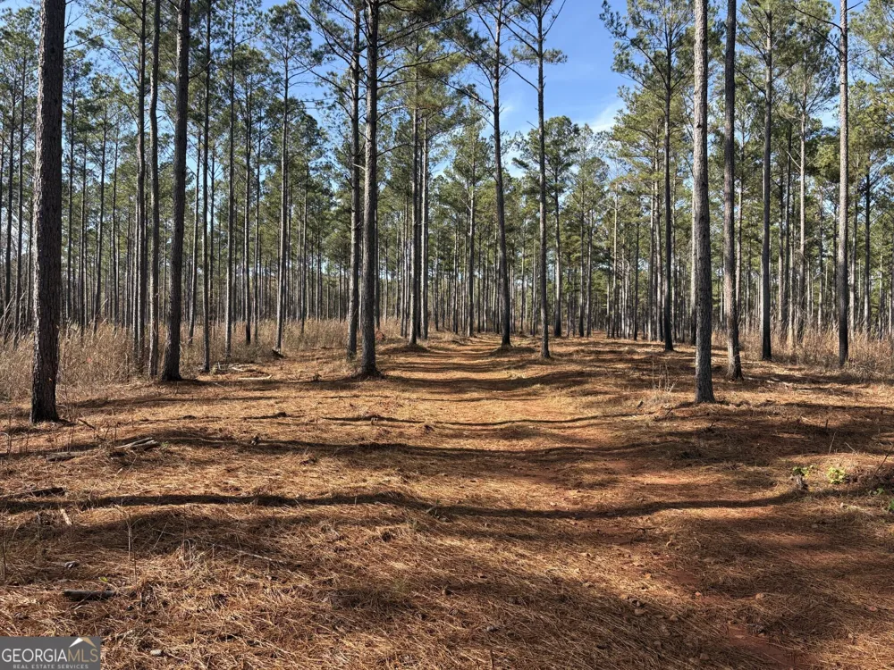 T1 Old Zebulon RD Forsyth, GA 31029