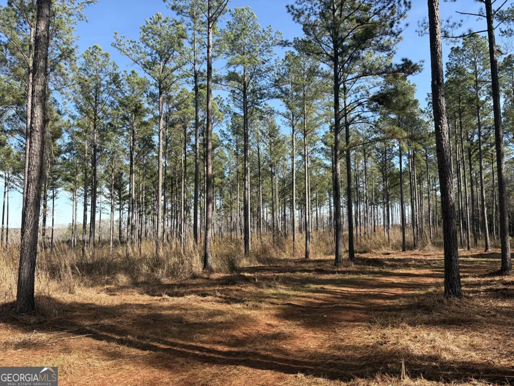 T1 Old Zebulon RD Forsyth, GA 31029