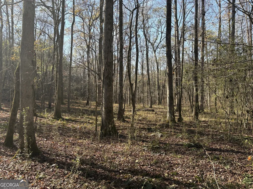 T1 Old Zebulon RD Forsyth, GA 31029