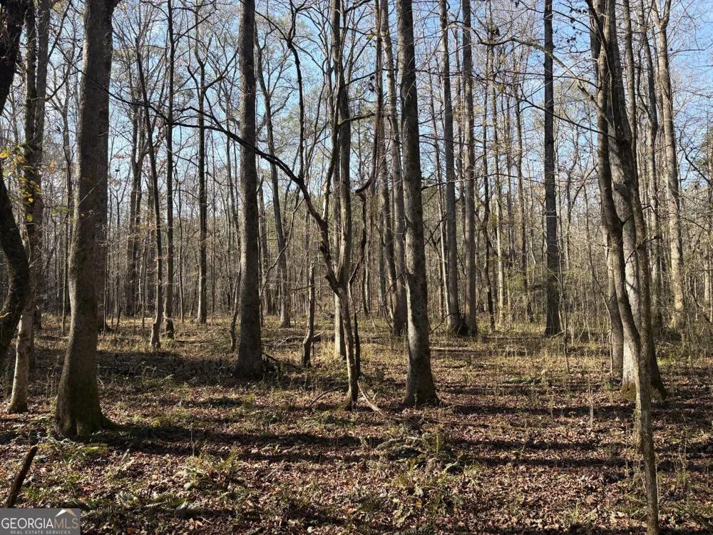 T1 Old Zebulon RD Forsyth, GA 31029