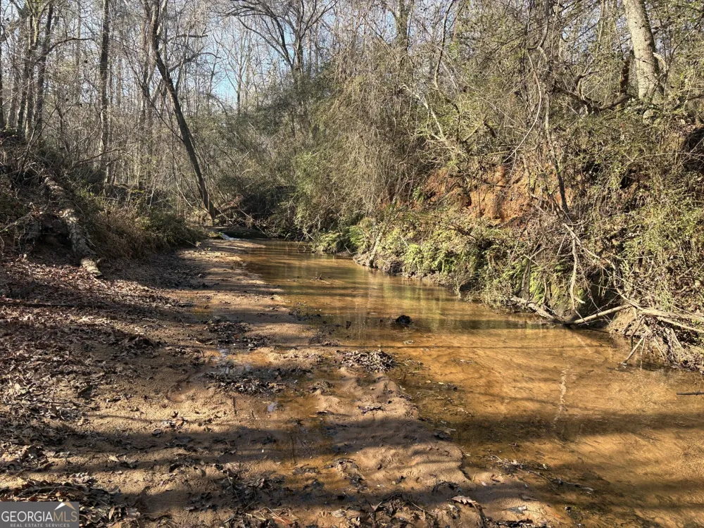T1 Old Zebulon RD Forsyth, GA 31029