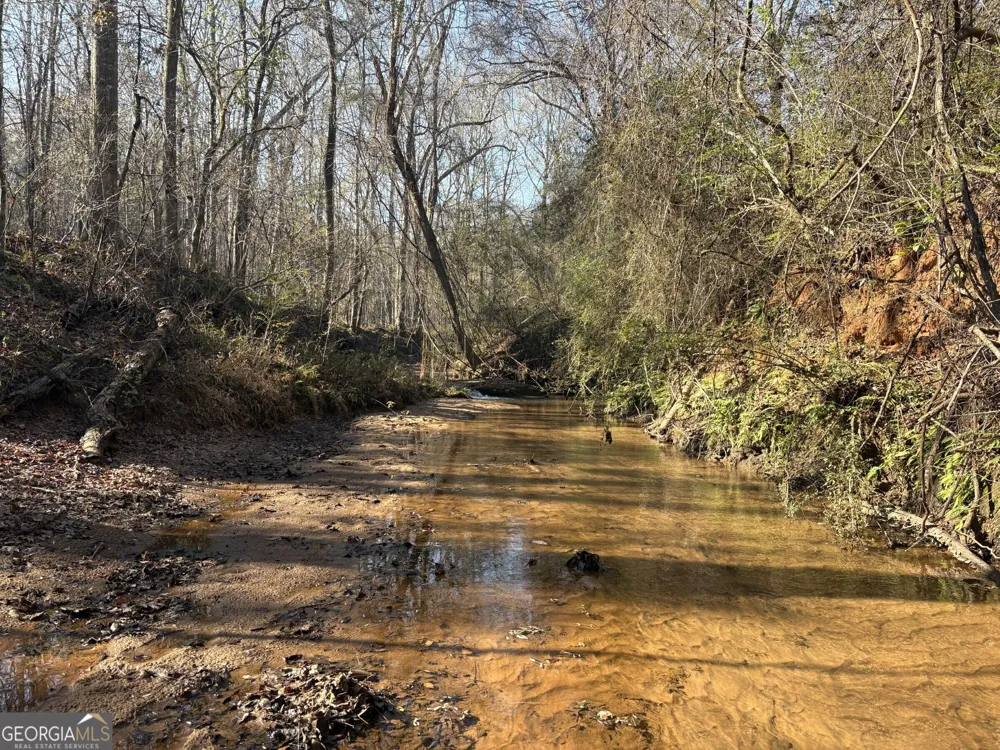 T1 Old Zebulon RD Forsyth, GA 31029