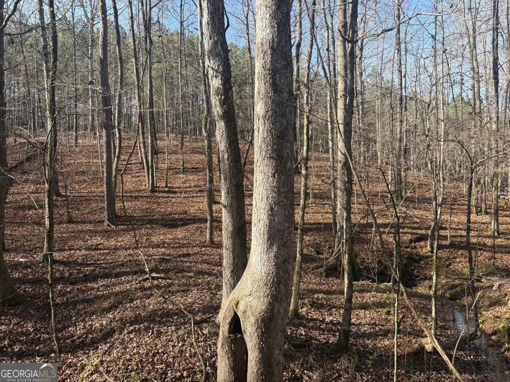 T1 Old Zebulon RD Forsyth, GA 31029