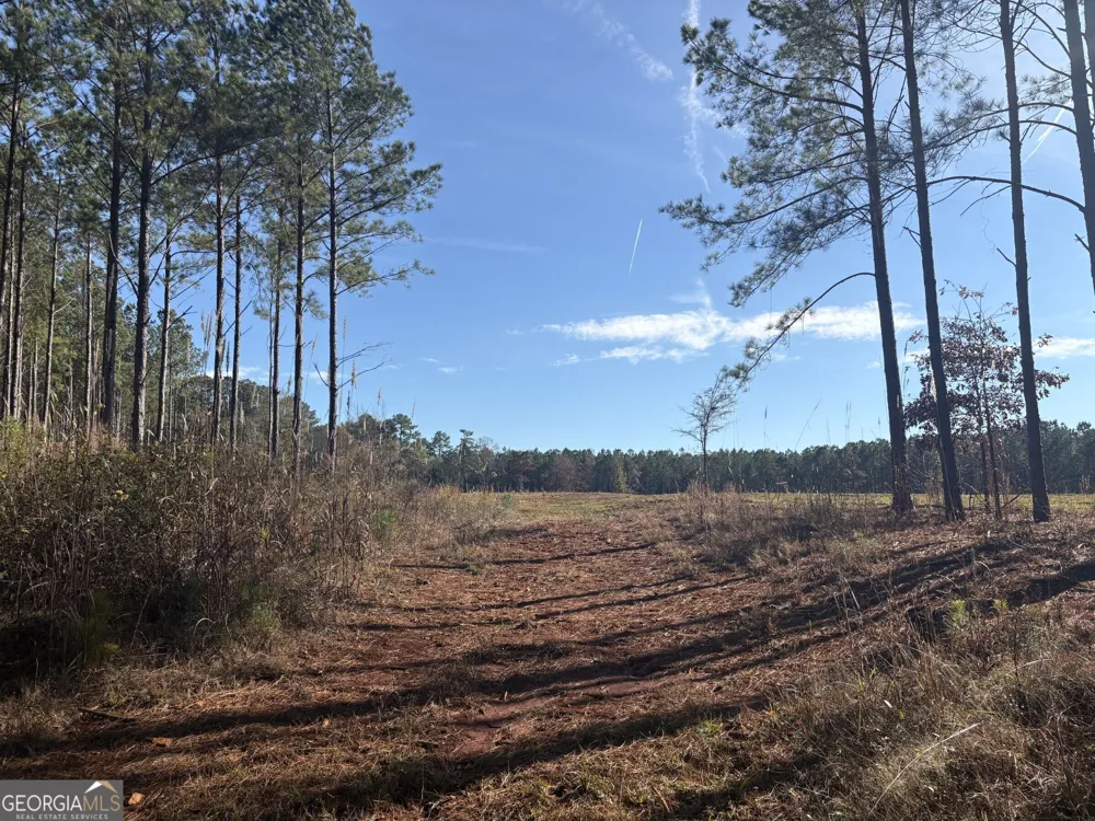 T1 Old Zebulon RD Forsyth, GA 31029
