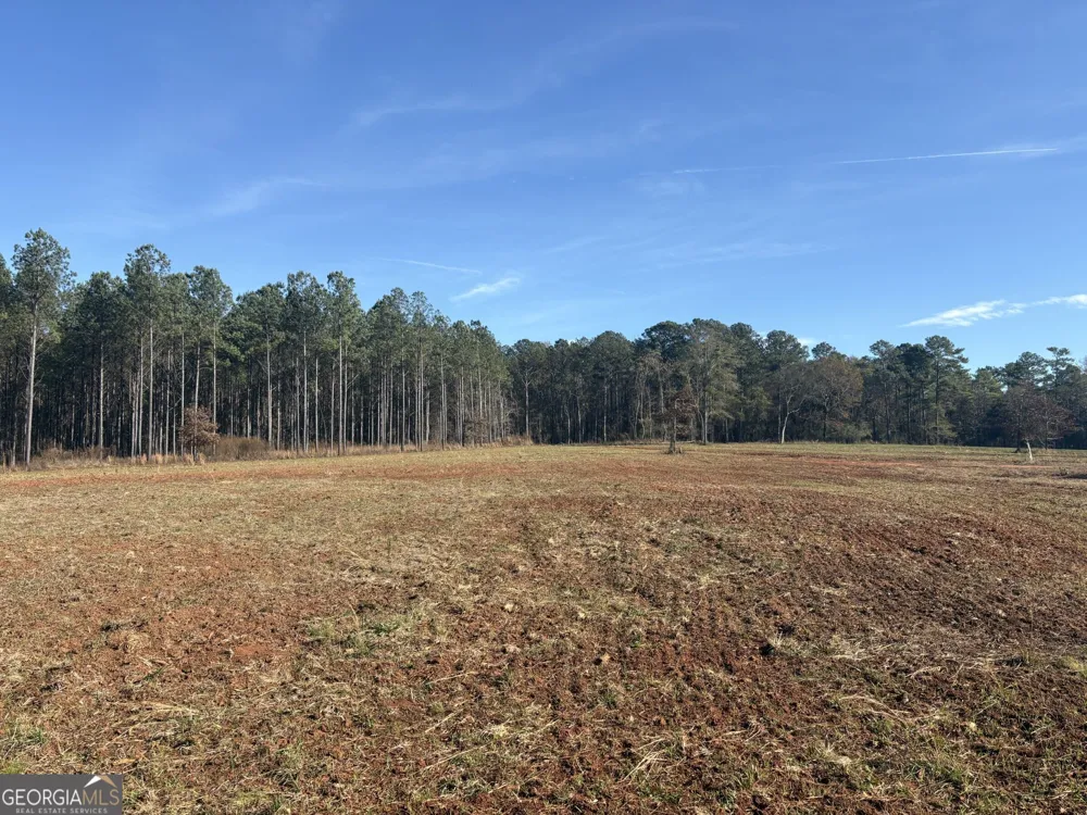 T1 Old Zebulon RD Forsyth, GA 31029