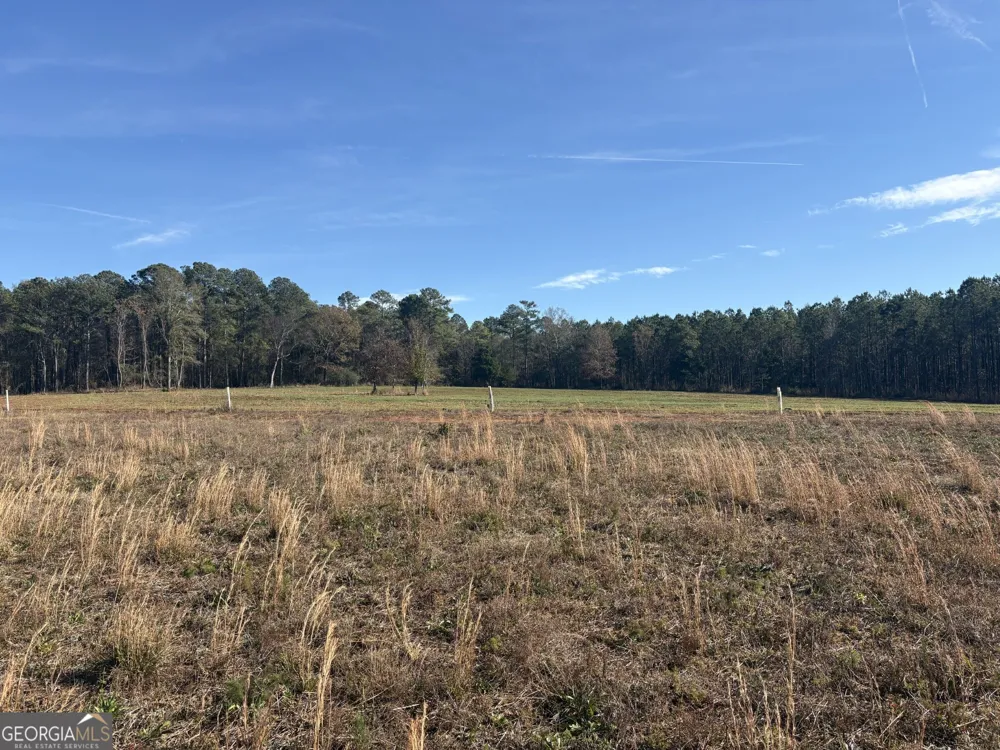 T1 Old Zebulon RD Forsyth, GA 31029