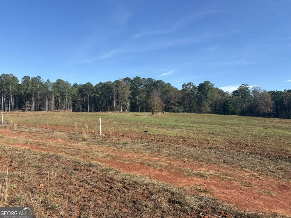 T1 Old Zebulon RD Forsyth, GA 31029