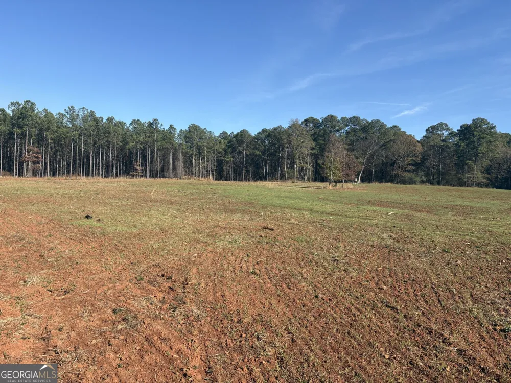 T1 Old Zebulon RD Forsyth, GA 31029