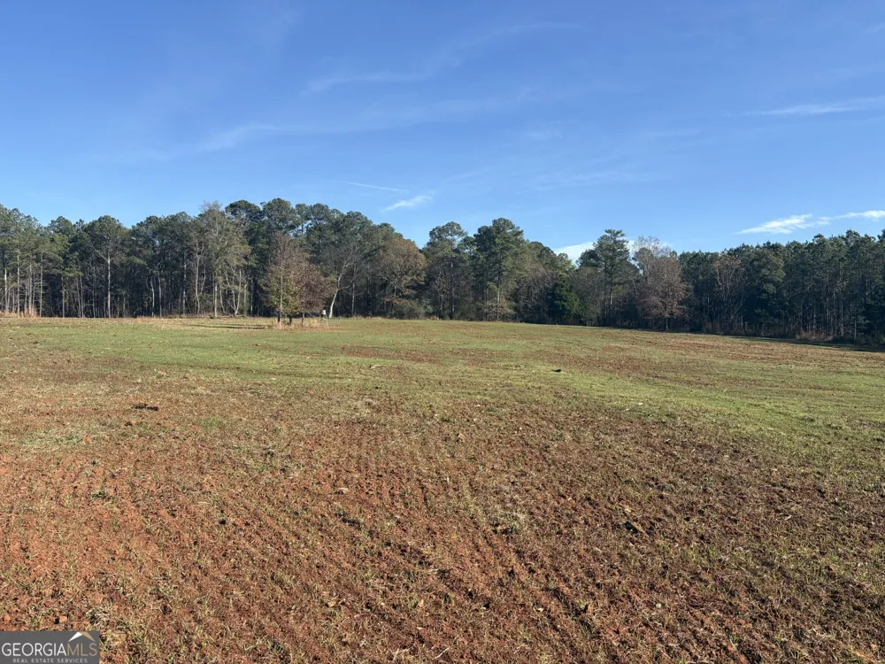 T1 Old Zebulon RD Forsyth, GA 31029