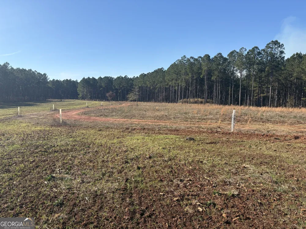 T1 Old Zebulon RD Forsyth, GA 31029