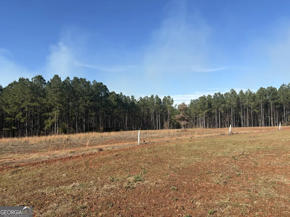 T1 Old Zebulon RD Forsyth, GA 31029