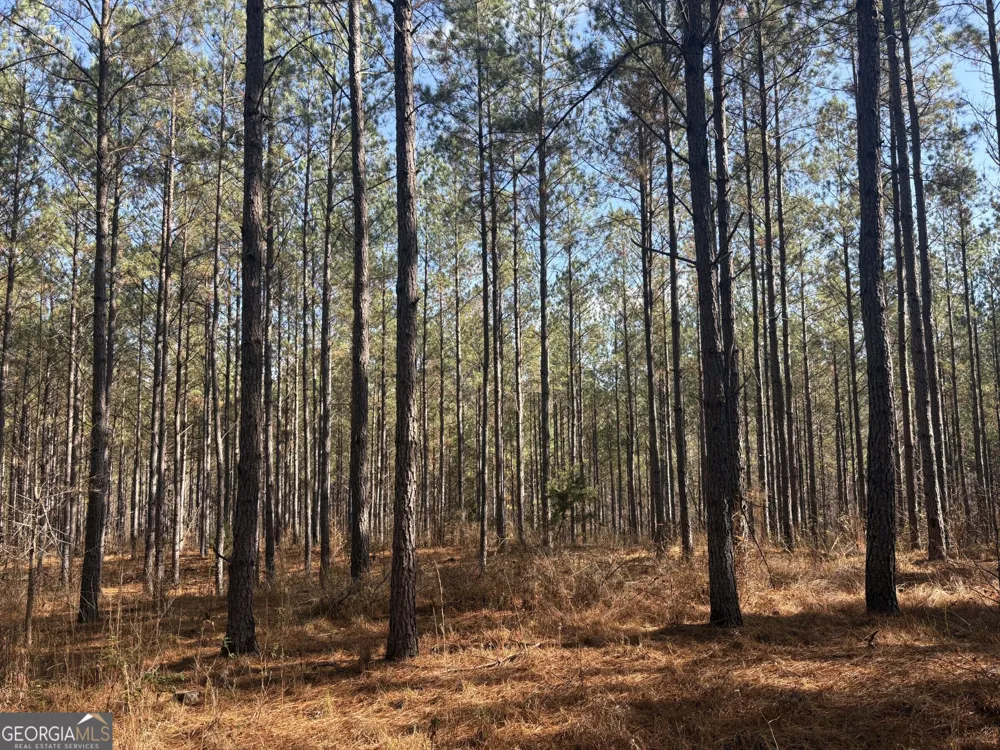 T1 Old Zebulon RD Forsyth, GA 31029