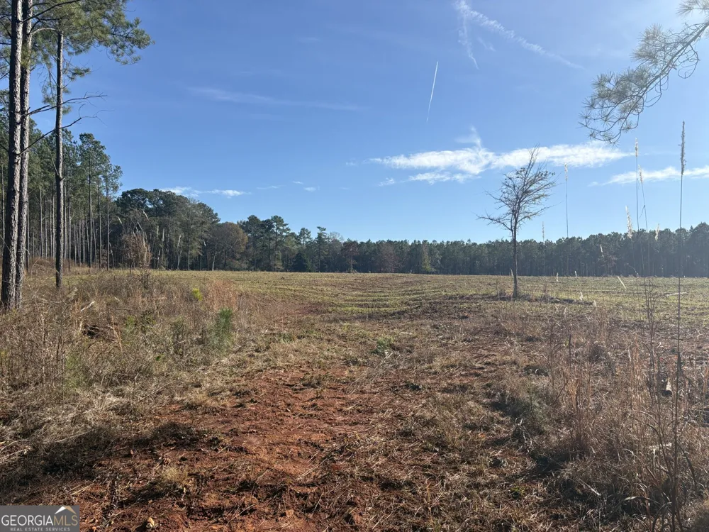 T1 Old Zebulon RD Forsyth, GA 31029