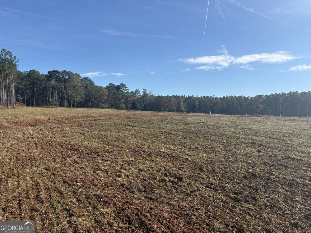 T1 Old Zebulon RD Forsyth, GA 31029