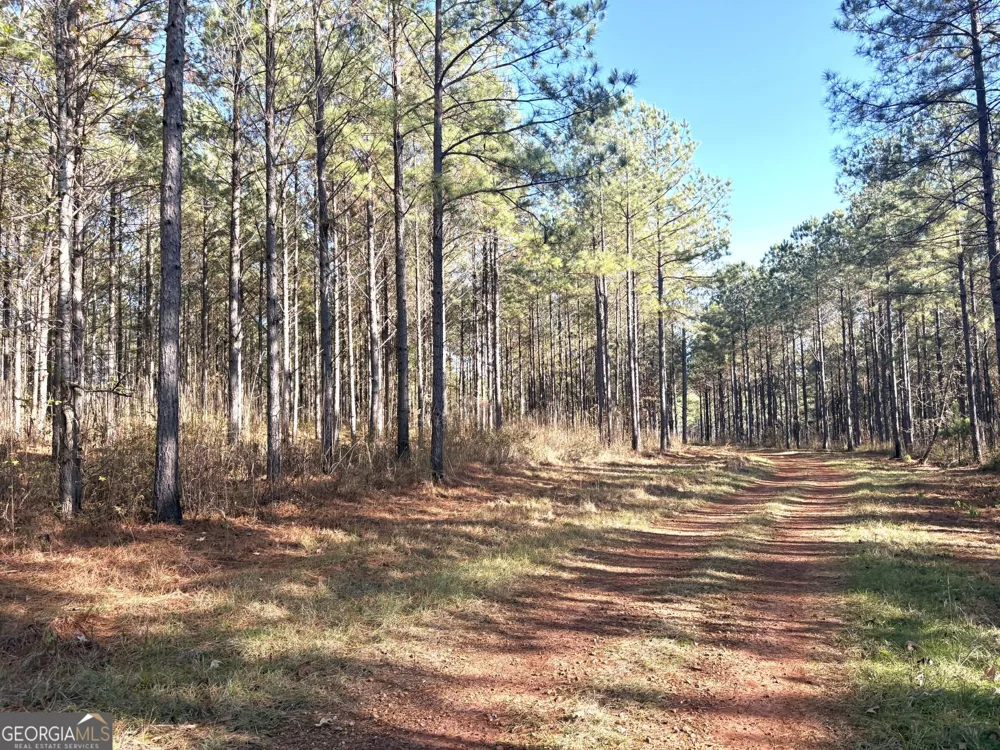 T1 Old Zebulon RD Forsyth, GA 31029