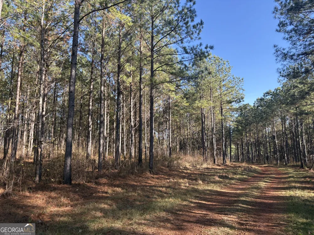T1 Old Zebulon RD Forsyth, GA 31029