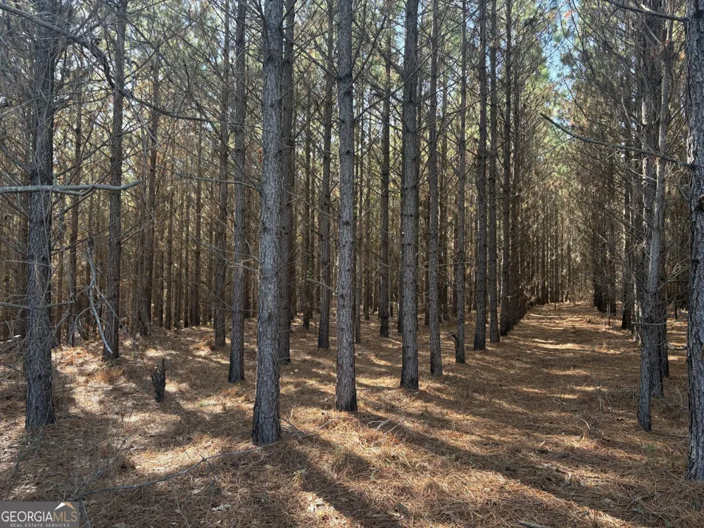 T1 Old Zebulon RD Forsyth, GA 31029