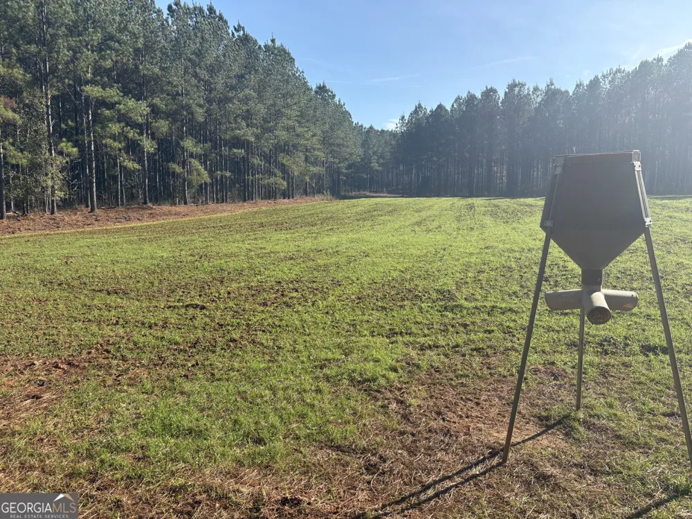 T1 Old Zebulon RD Forsyth, GA 31029