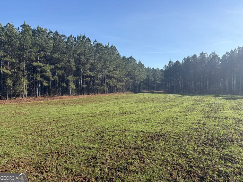 T1 Old Zebulon RD Forsyth, GA 31029