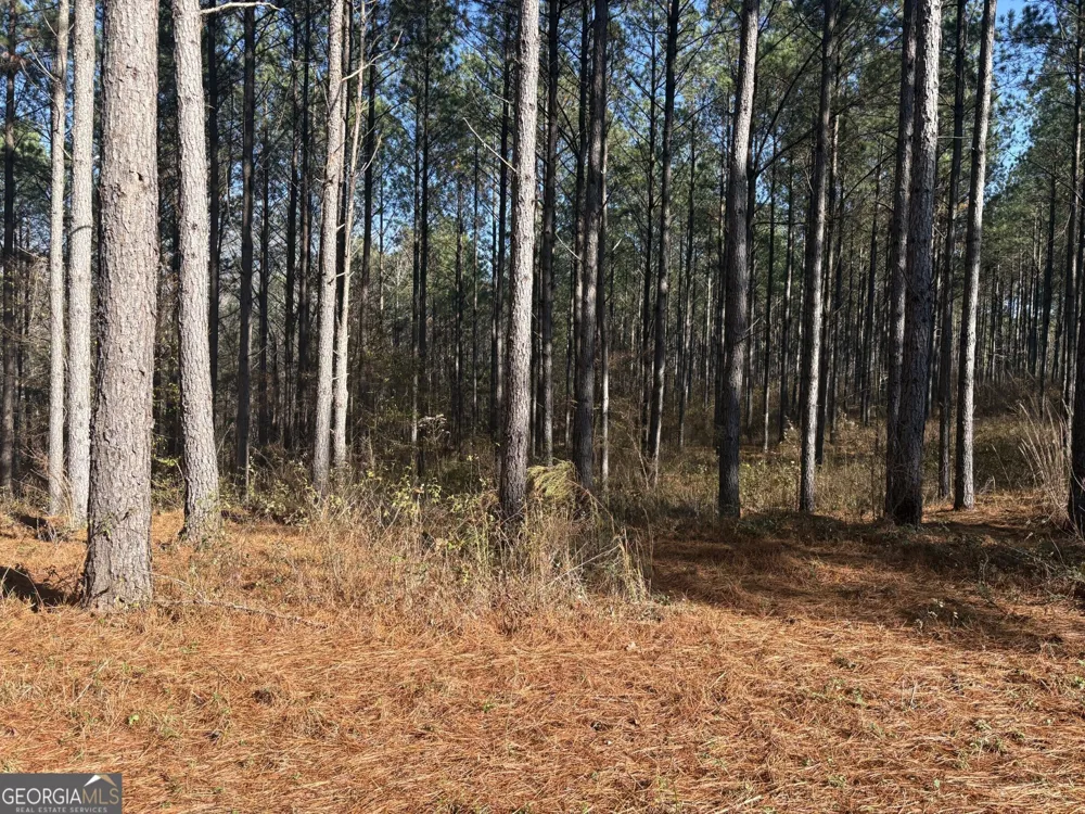 T1 Old Zebulon RD Forsyth, GA 31029