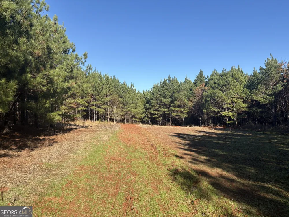 T1 Old Zebulon RD Forsyth, GA 31029