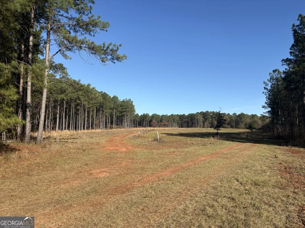 T1 Old Zebulon RD Forsyth, GA 31029