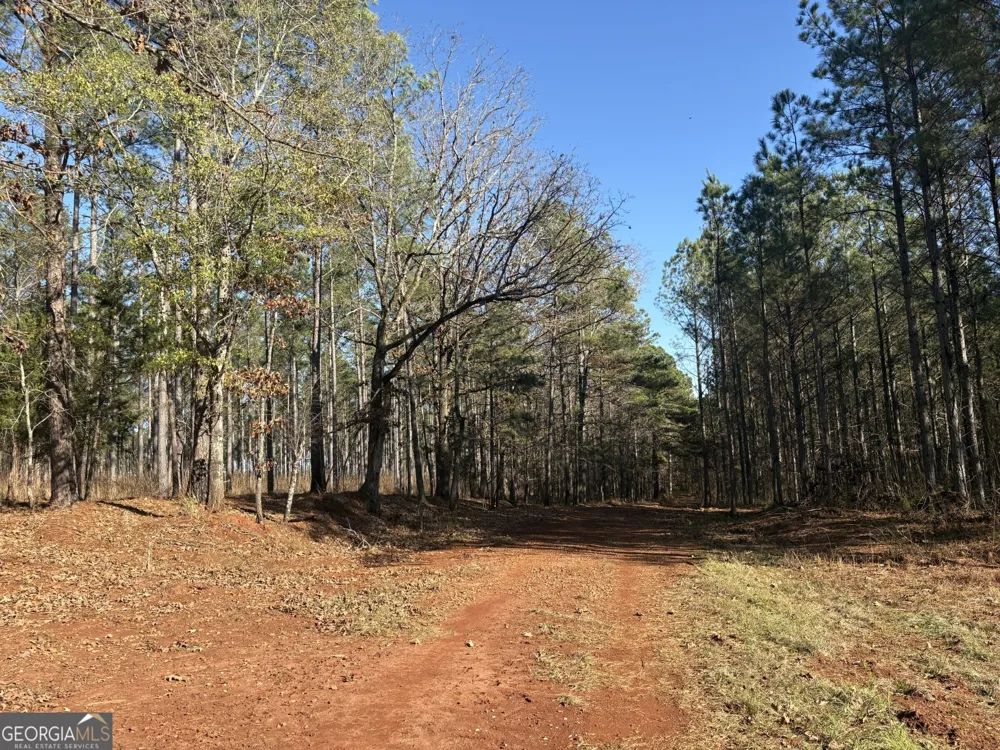 T1 Old Zebulon RD Forsyth, GA 31029