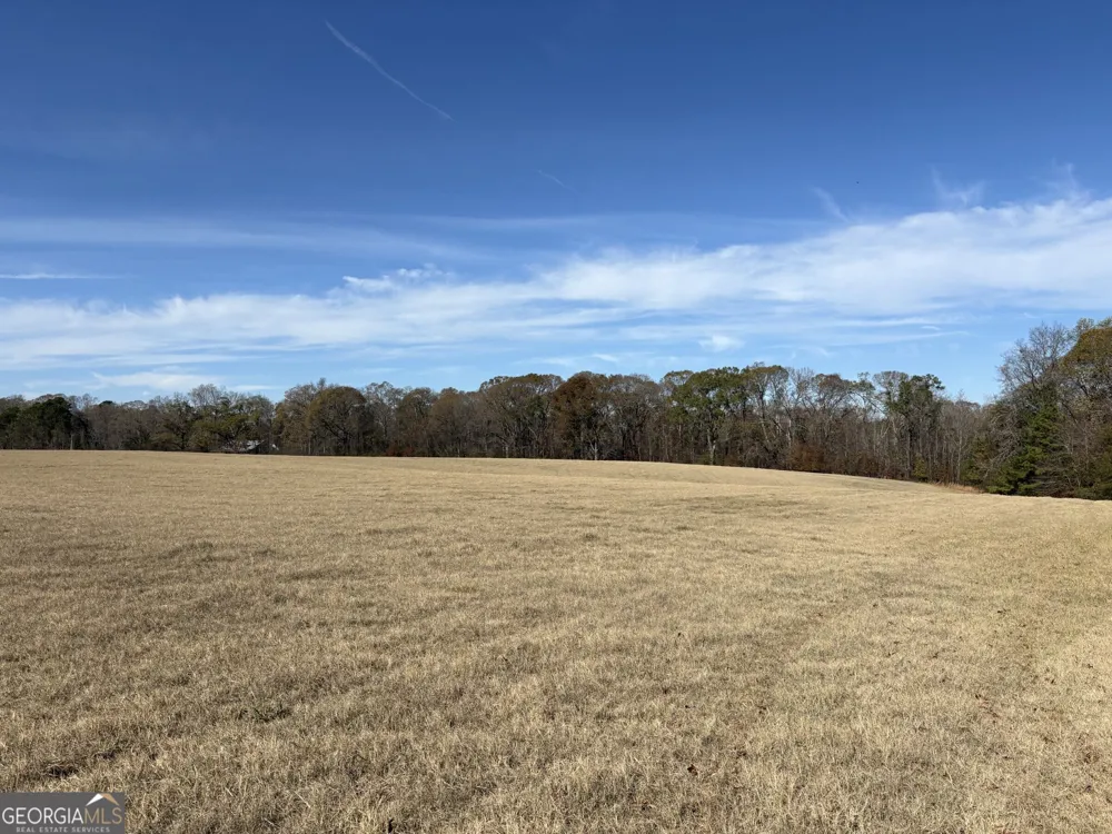 T1 Old Zebulon RD Forsyth, GA 31029