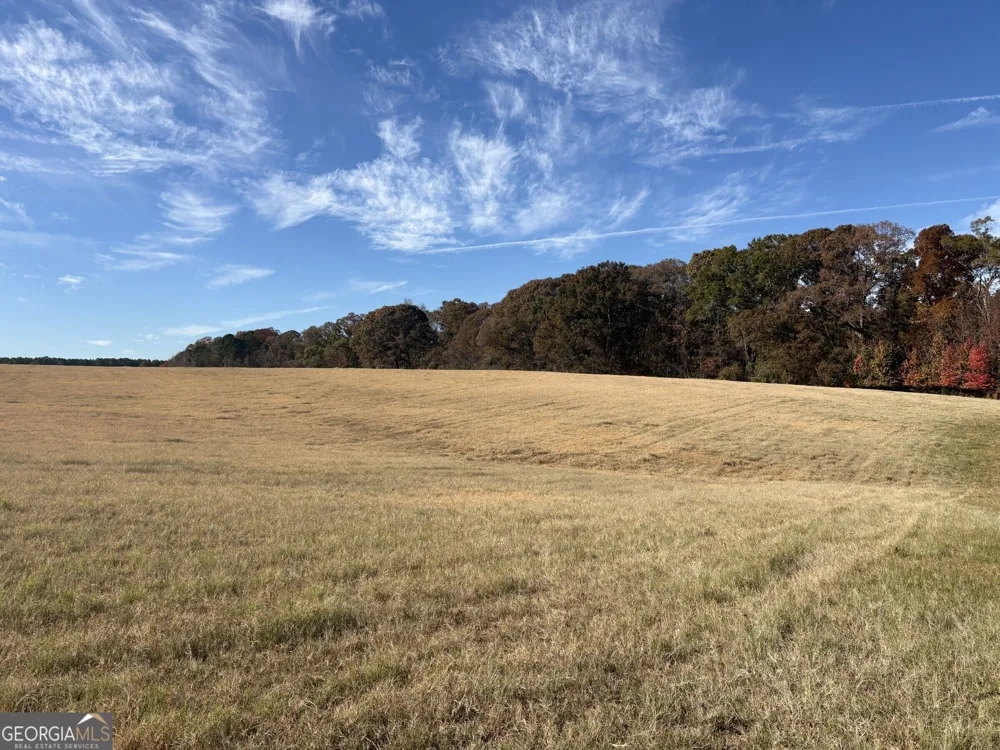 T1 Old Zebulon RD Forsyth, GA 31029