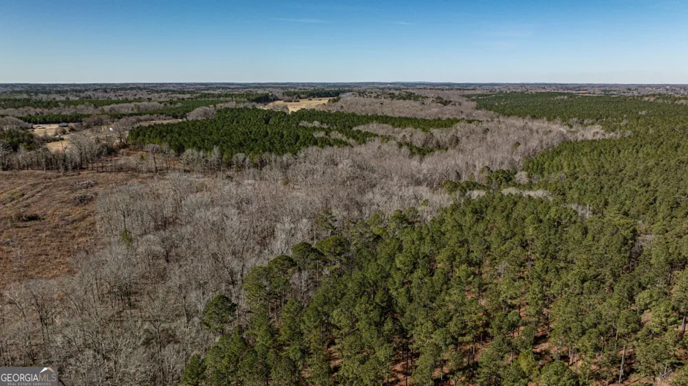 T1 Old Zebulon RD Forsyth, GA 31029