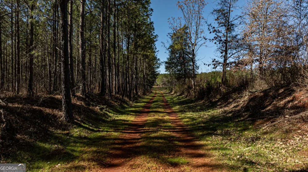 T1 Old Zebulon RD Forsyth, GA 31029