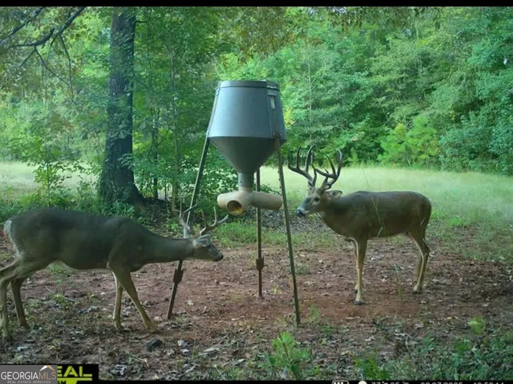 T1 Old Zebulon RD Forsyth, GA 31029