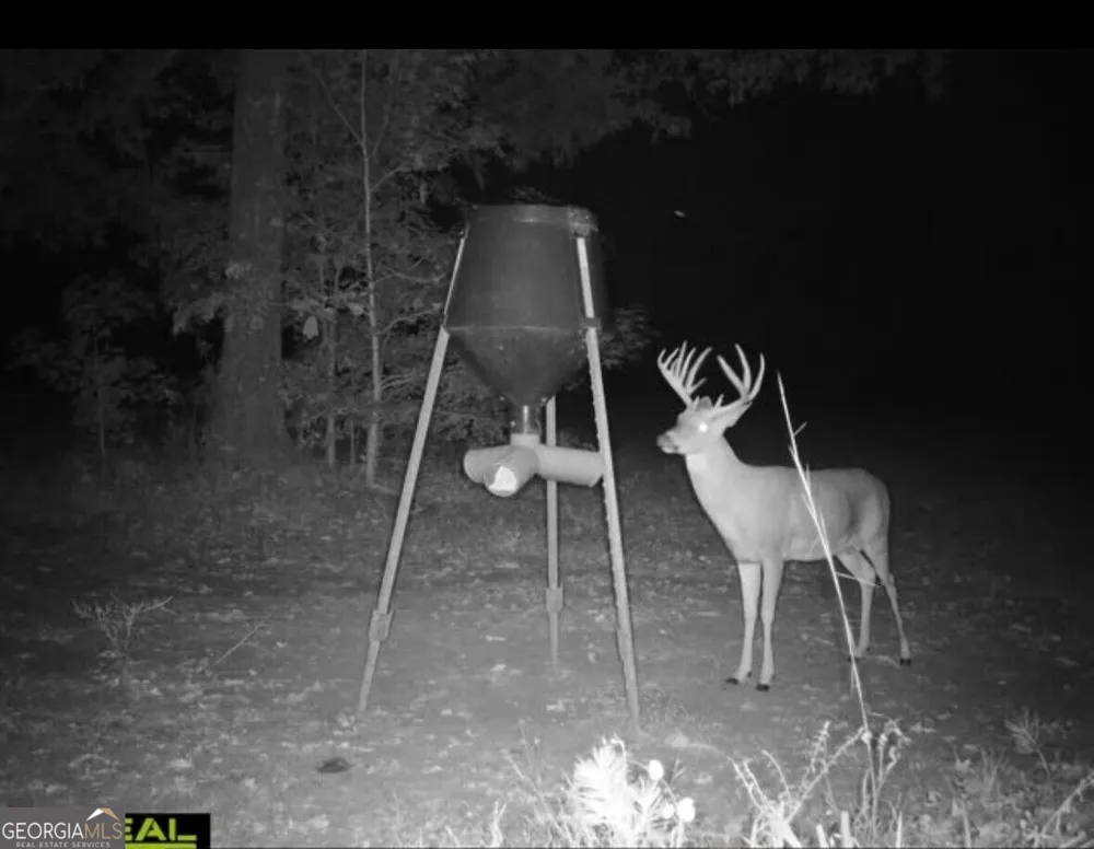 T1 Old Zebulon RD Forsyth, GA 31029