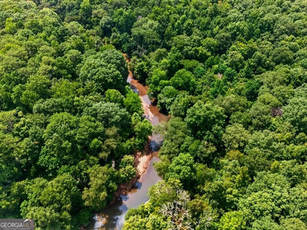 0 Highway 42 Forsyth, GA 31029