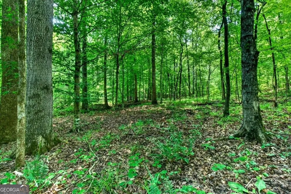 0 Highway 42 Forsyth, GA 31029