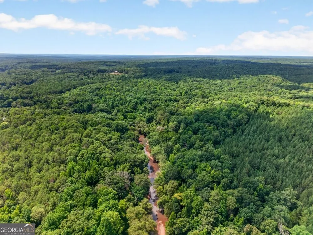 0 Highway 42 Forsyth, GA 31029