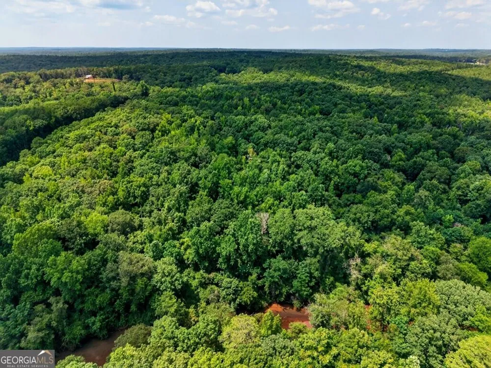 0 Highway 42 Forsyth, GA 31029