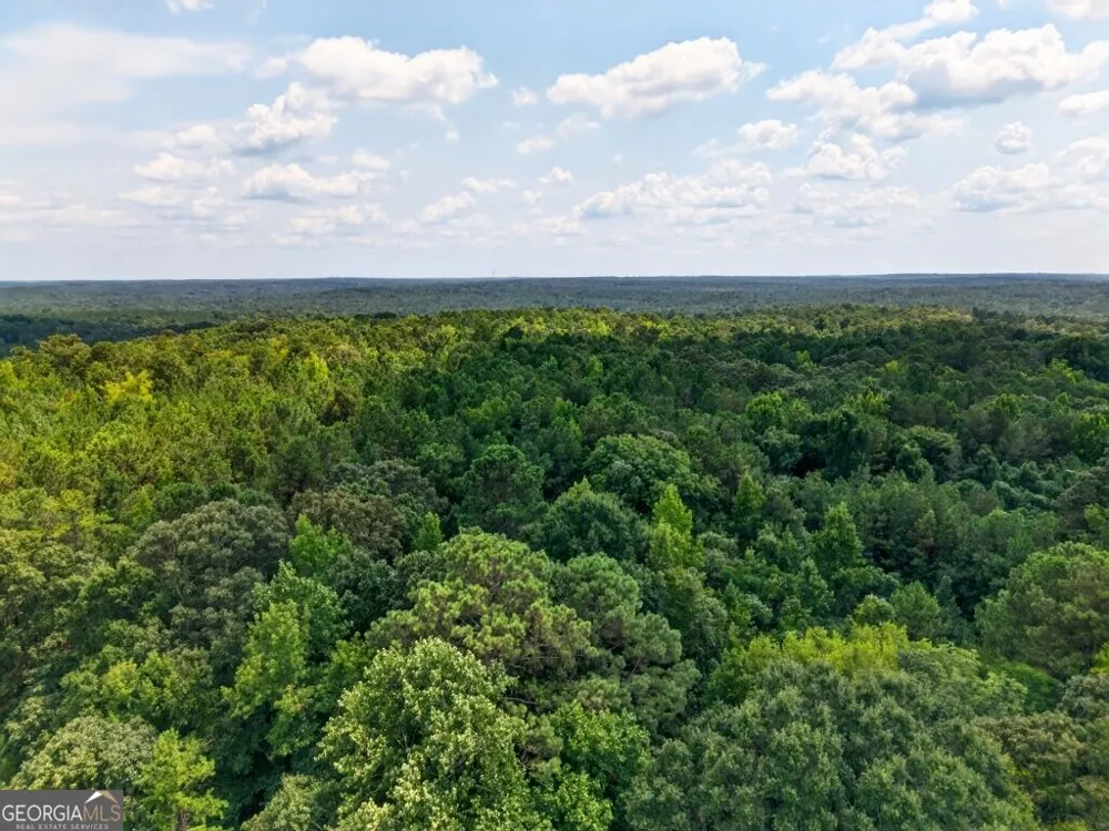 0 Highway 42 Forsyth, GA 31029