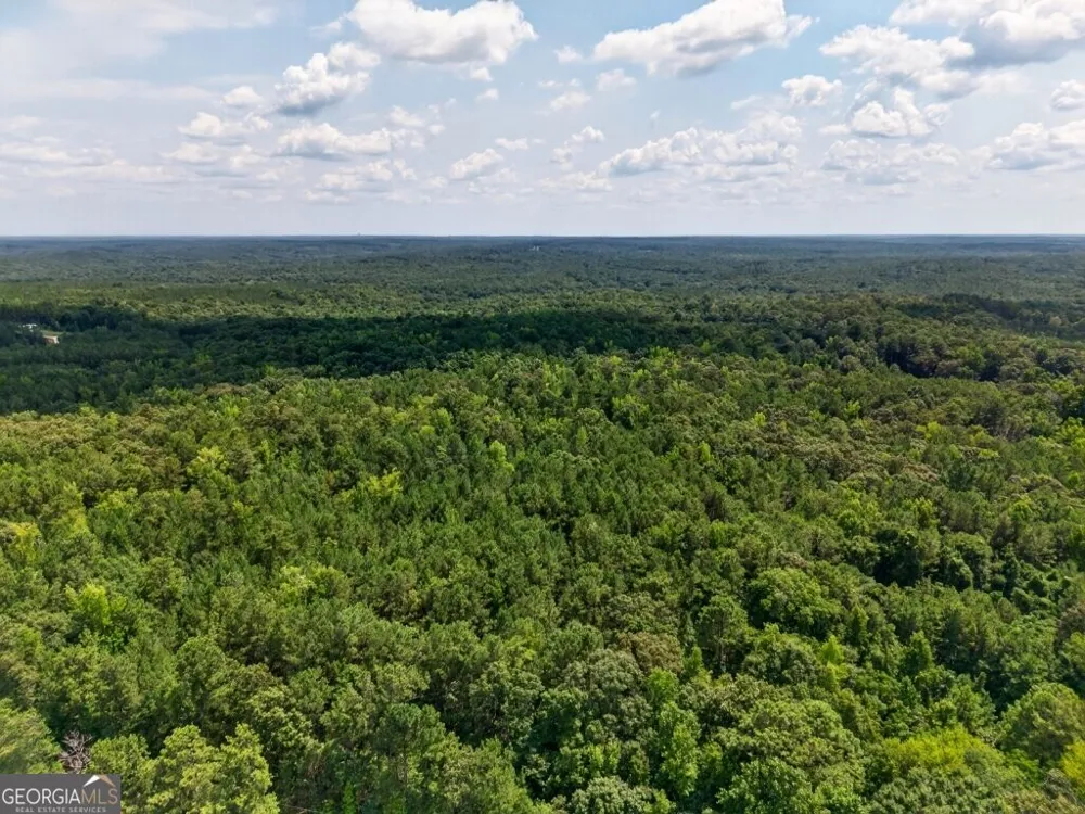 0 Highway 42 Forsyth, GA 31029