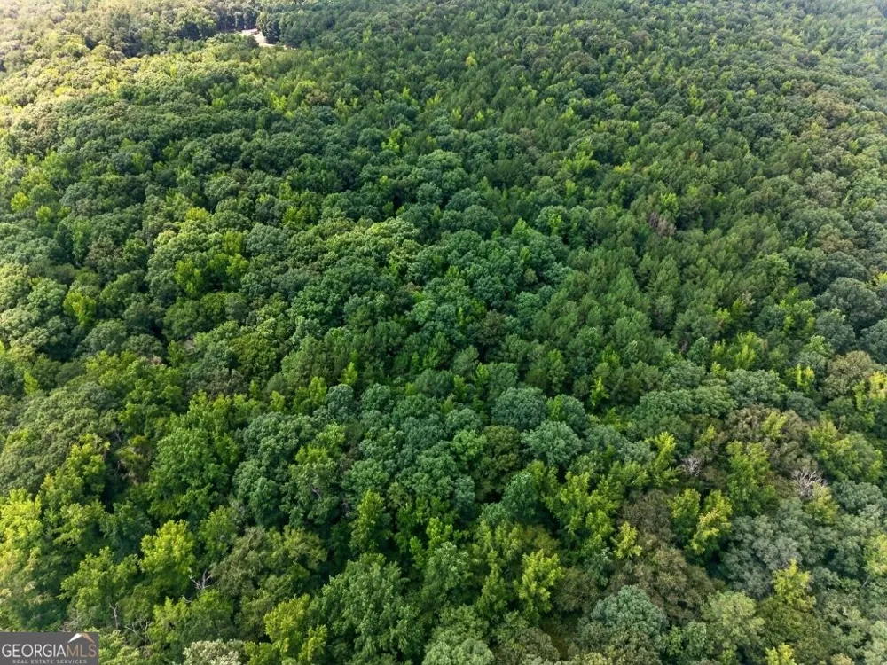 0 Highway 42 Forsyth, GA 31029