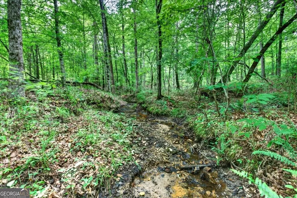 0 Highway 42 Forsyth, GA 31029
