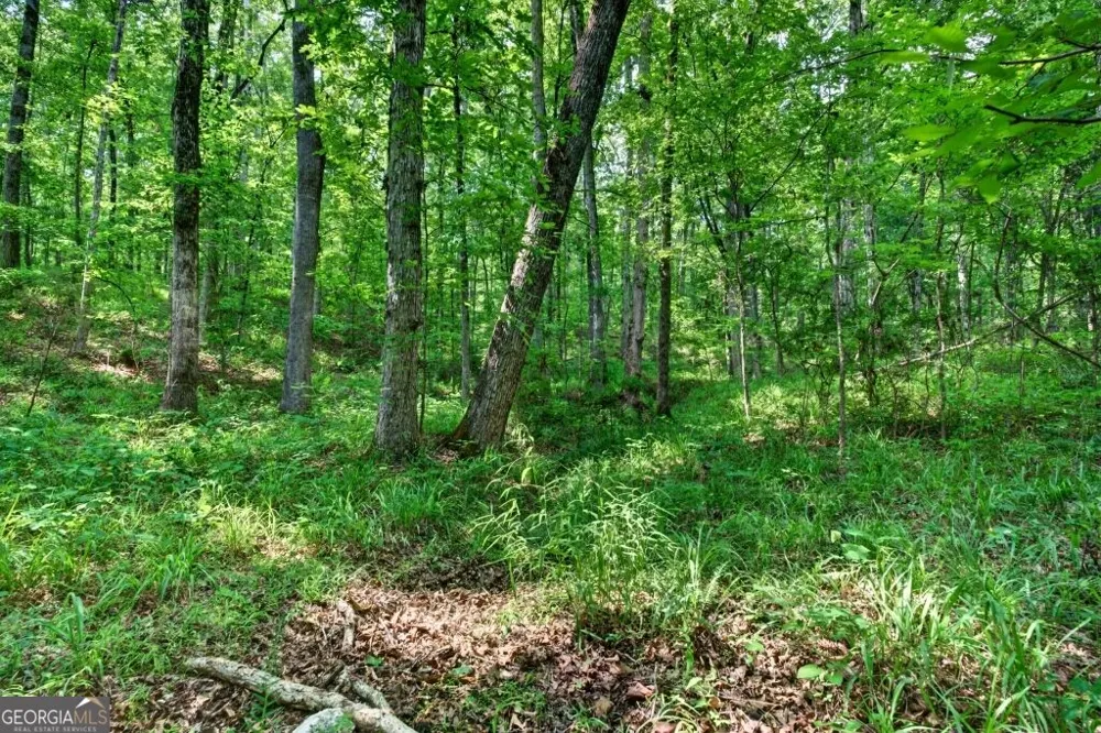 0 Highway 42 Forsyth, GA 31029