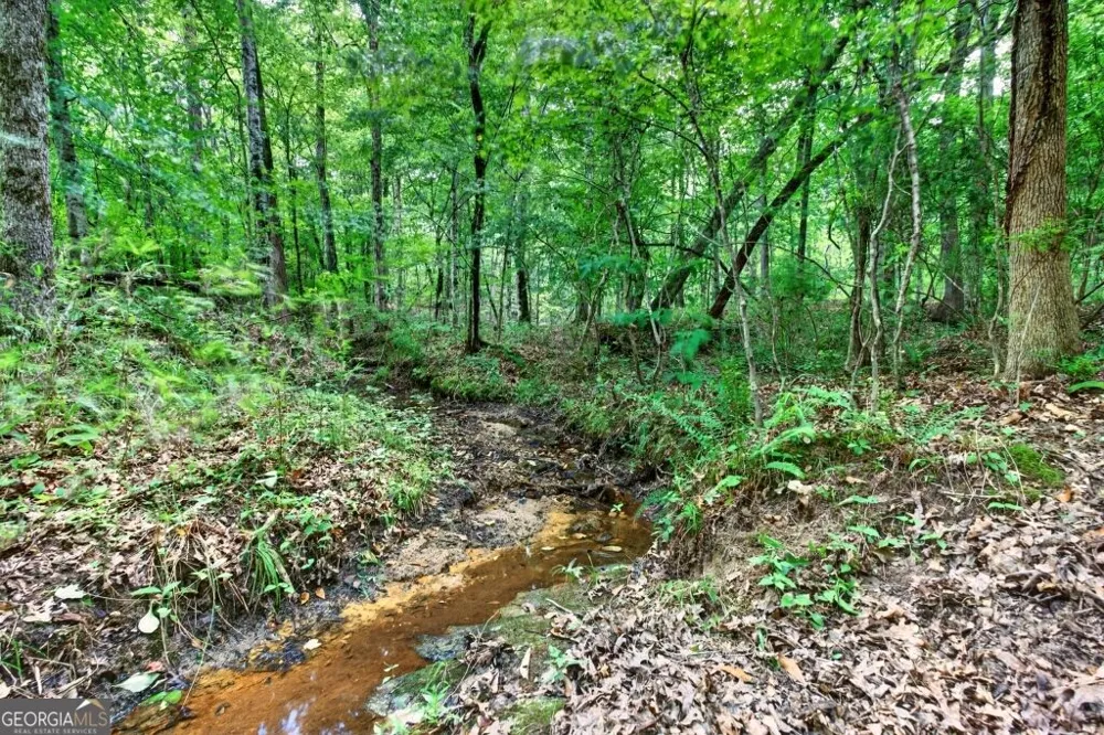 0 Highway 42 Forsyth, GA 31029