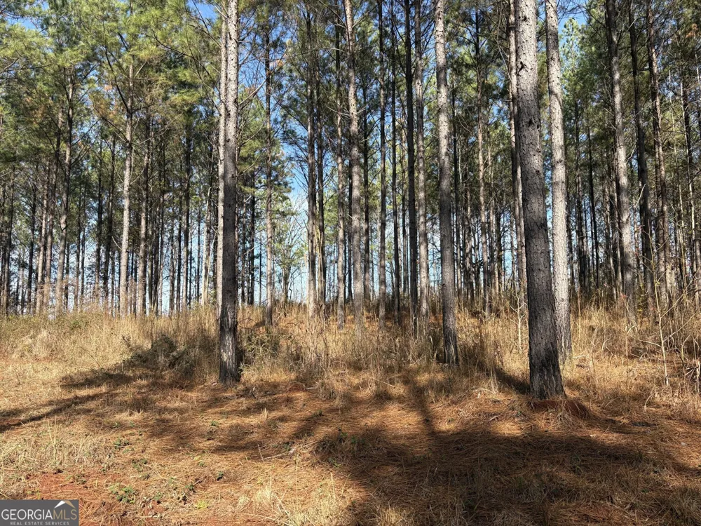 T2 Old Zebulon RD Forsyth, GA 31029