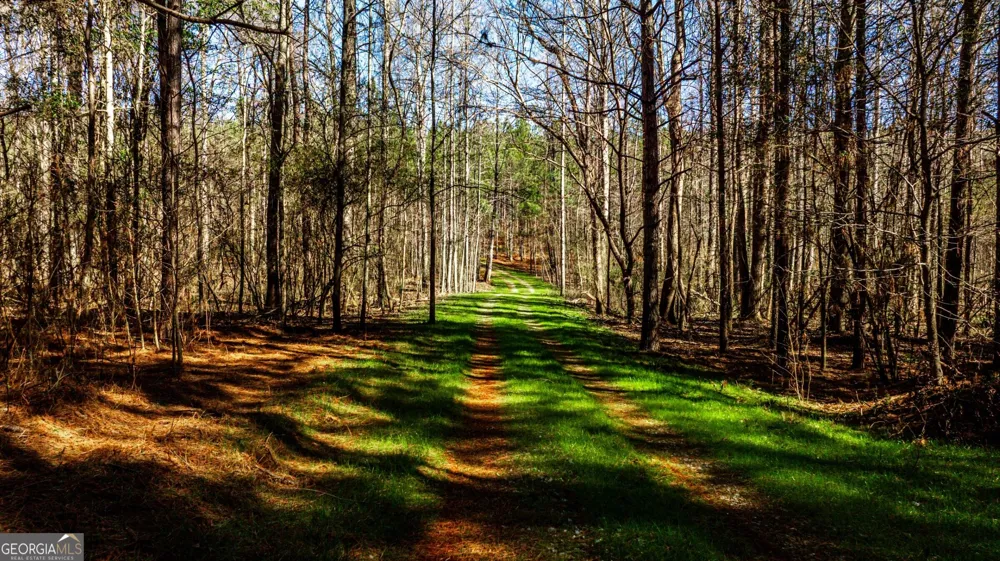 T2 Old Zebulon RD Forsyth, GA 31029