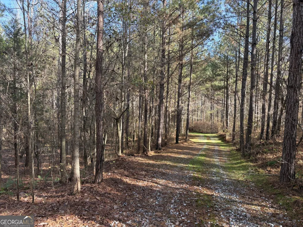 T2 Old Zebulon RD Forsyth, GA 31029