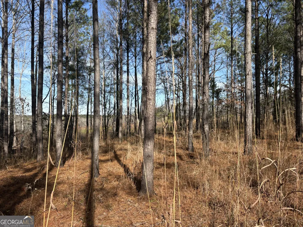 T2 Old Zebulon RD Forsyth, GA 31029