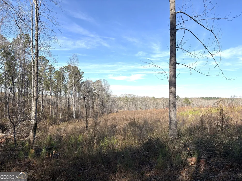 T2 Old Zebulon RD Forsyth, GA 31029